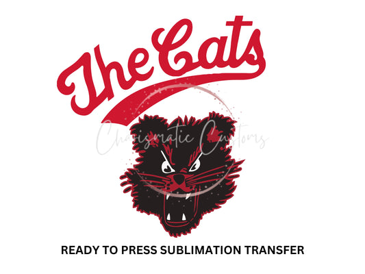 The Cats Vintage Retro Throwback- Bearcats - NEW DROP- Ready to Press Sublimation Print Transfer